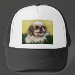 Shih Tzu Dog Art - Sophie Hats