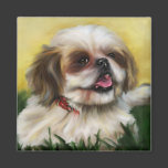 Shih Tzu Dog Art - Sophie Magnet