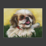 Shih Tzu Dog Art - Sophie Postcard