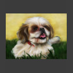 Shih Tzu Dog Art - Sophie Tshirts