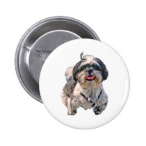 Shih Tzu Dog buttons