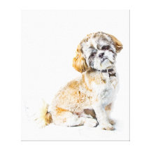 Shih Tzu Dog Canvas Gallery Wrap Canvas