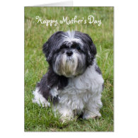 Shih Tzu dog happy mother's day greeting card