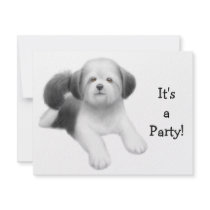 Shih Tzu Dog Invitation