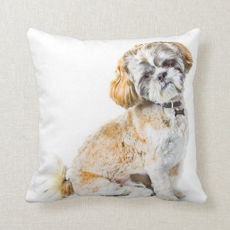shih tzu cushion shih tzu pillows decorative throw pillows zazzle shih tzu cushion shih tzu pillows decorative throw pillows zazzle