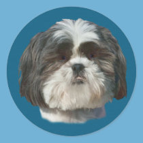 Shih Tzu Dog Sticker stickers