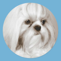 Shih Tzu Dog Sticker stickers