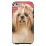 Shih-tzu dog tough iPhone 6 case