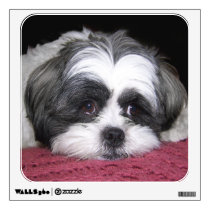 Shih Tzu Dog wall decals