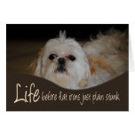 Shih Tzu Flat Iron Hair Humor Card cards
