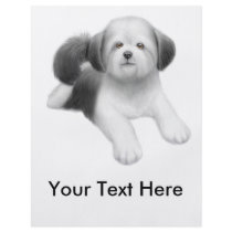 Shih Tzu Flyer