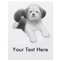Shih Tzu Flyer
