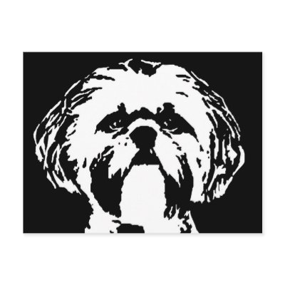 Geschenke Shih Tzu - Postkarte von pupaya