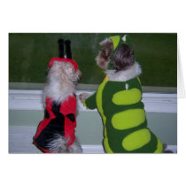 Shih Tzu Halloween Costume Greeting Card cards