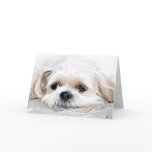Shih Tzu miss you card
