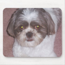 Shih Tzu Mousepad mousepads