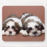 Shih Tzu Mousepads
