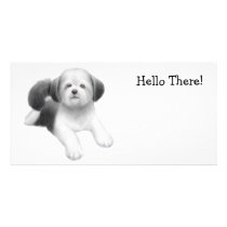 Shih Tzu photo cards