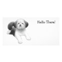 Shih Tzu photo cards