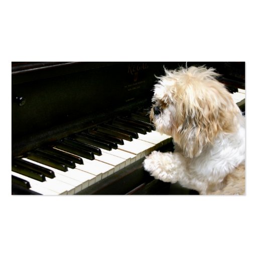 Shih Tzu piano lessons Business Cards (front side)