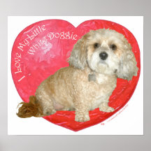 Shih Tzu / Poodle Mix Valentines Day Print