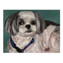 Shih Tzu Post Card