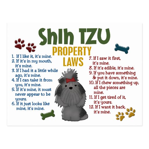 Shih Tzu Property Laws 4 Postcards