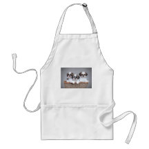 Shih Tzu puppies Apron