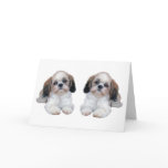 Shih Tzu Puppies Card