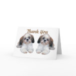 Shih Tzu Puppies Thank You Card