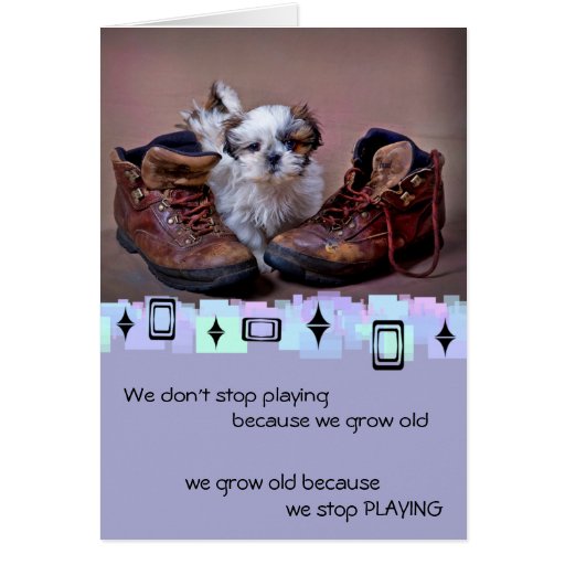 Shih Tzu Puppy Birthday Greetings Card Zazzle