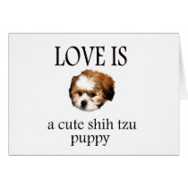 Shih Tzu Puppy cards