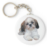 Shih Tzu Puppy Keychain