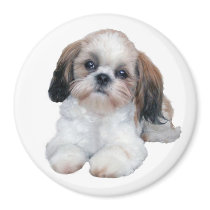 Shih Tzu Puppy Magnet