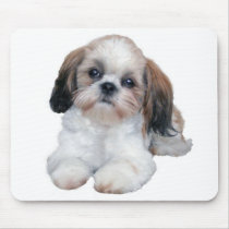 Shih Tzu Puppy Mousepad by normagolden Shih Tzu Puppy Mousepad