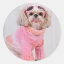 Shih Tzu Puppy - The Razz Round Sticker