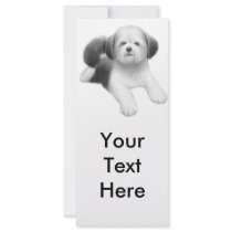 Shih Tzu Rack Card