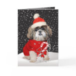 Shih Tzu Santa Season Greetings Card