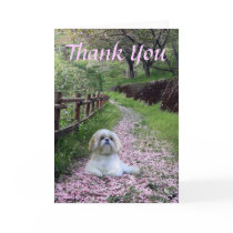 Shih Tzu Thank You Card