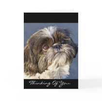 Shih Tzu Thinking of You Greeting Card - Verse