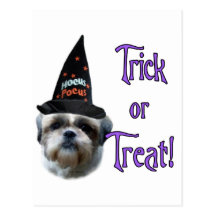 Shih Tzu Trick Postcards