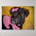 Shih-tzu with Pink Bow Posters
