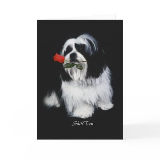 Shih Tzu With Rose Greeting Card