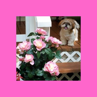 Shih Tzu with Spring Flowers sticker