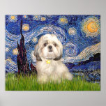 Shih Tzu (Y) - Starry Night Print