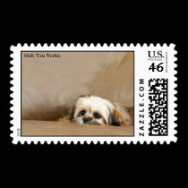 Shih Tzu Yorkie Terrier stamps