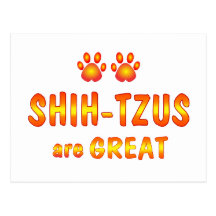 Shih-Tzus are Great Postcard