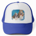 Shih Tzus hats