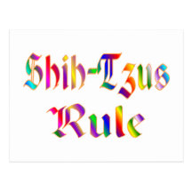 SHIH-TZUS RULE POSTCARD