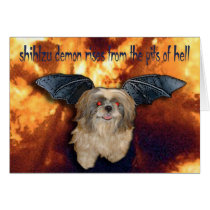 shihtzu demon cards